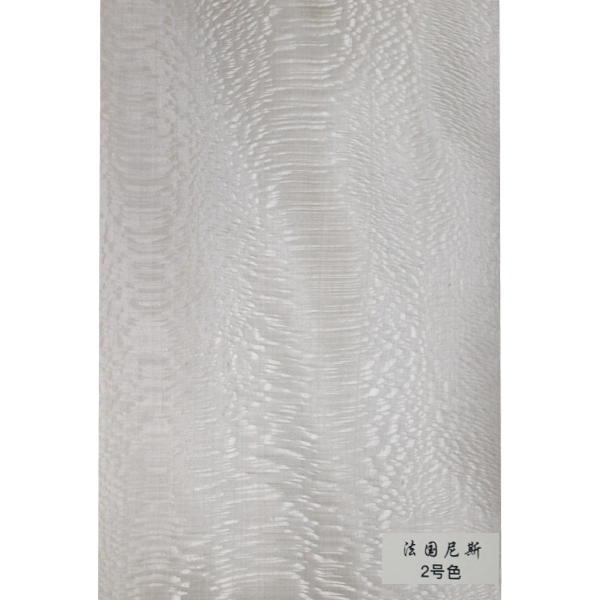法國尼斯-2號(hào)色